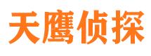 芦山调查事务所